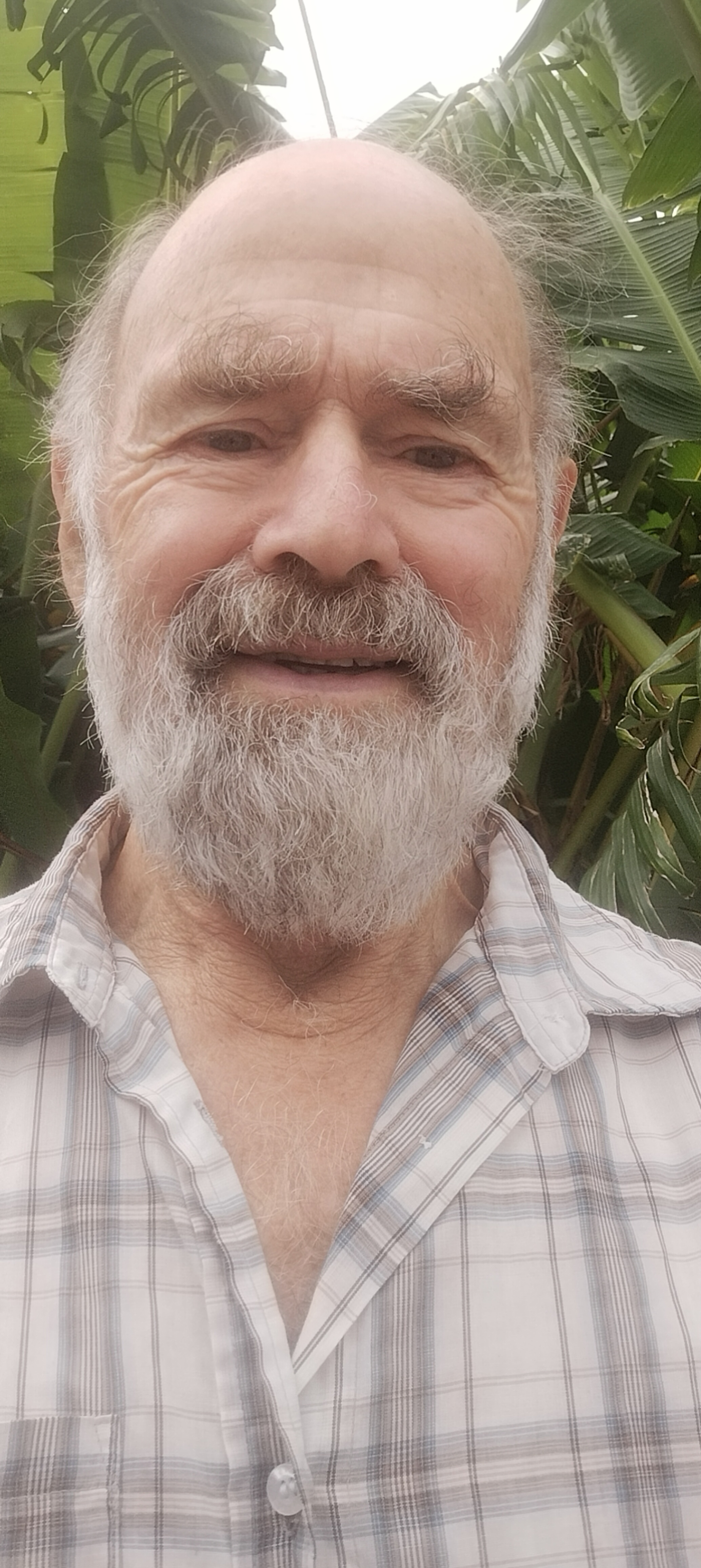 Alan