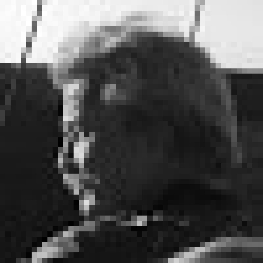 Portrait of Michael Haberler
