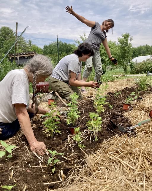 The Alan Day Community Garden in Norway, Maine