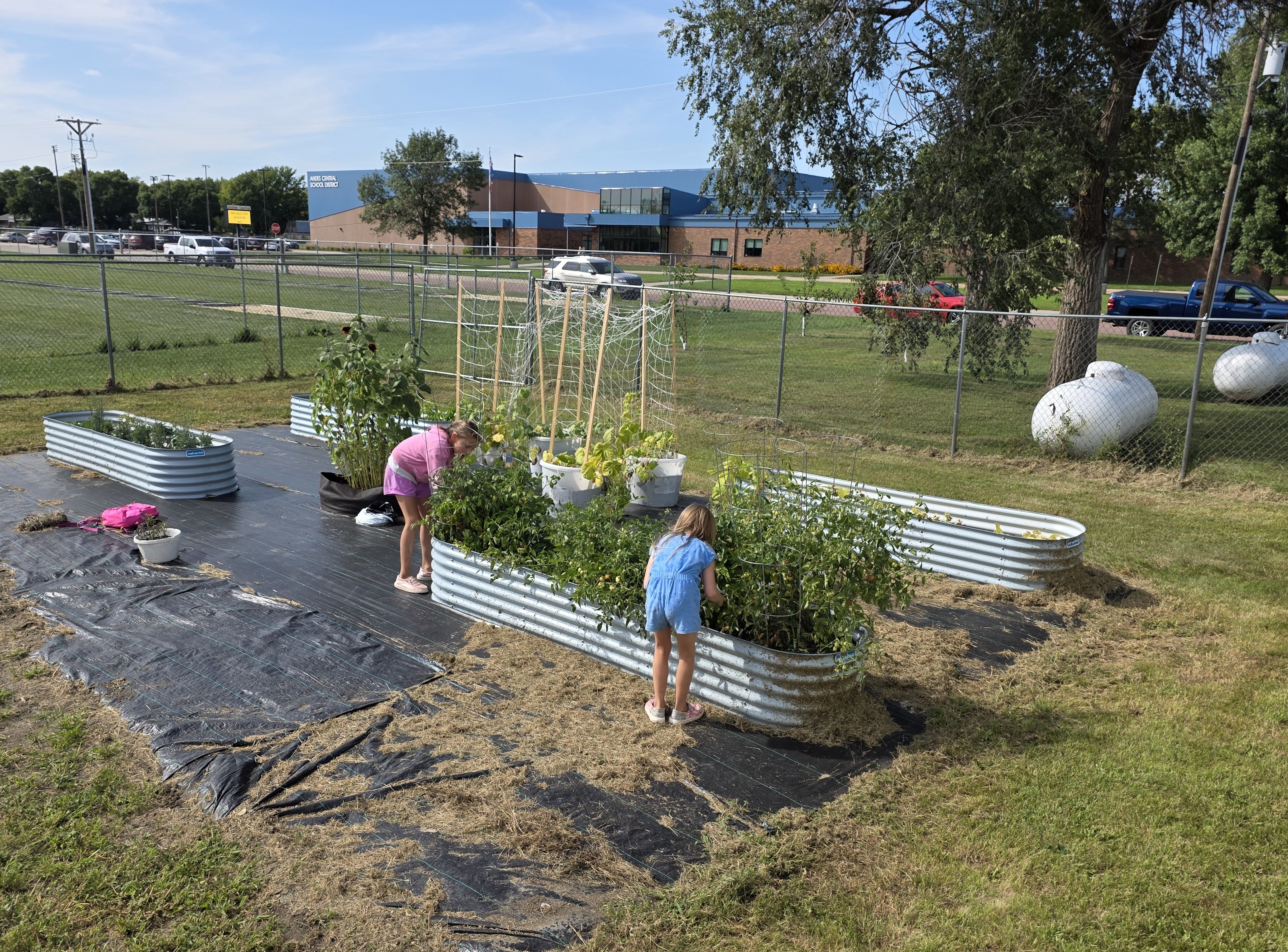 The youth garden at Lake Andes Public Library, South Dakota